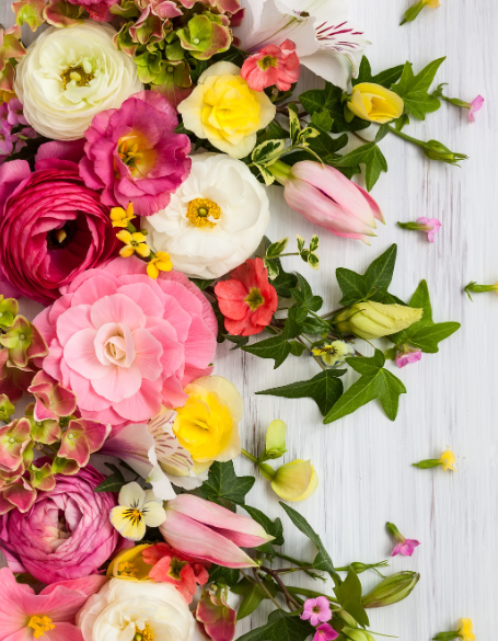 Same day flower delivery Toronto – Toronto flowers gifts