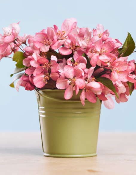 Same day flower delivery Toronto – Toronto flowers gifts