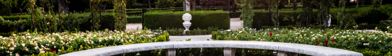 Same day flower delivery Toronto – Toronto flowers gifts
