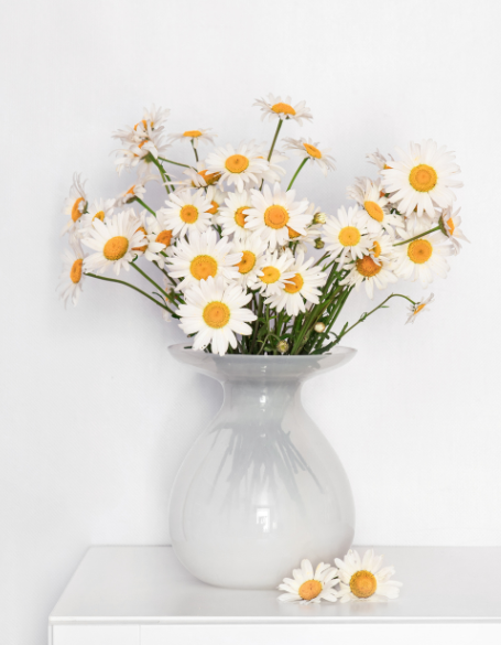 Same day flower delivery Toronto – Toronto flowers gifts