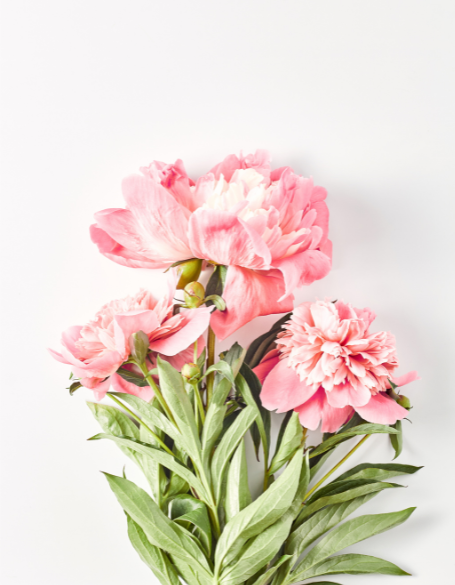 Same day flower delivery Toronto – Toronto flowers gifts