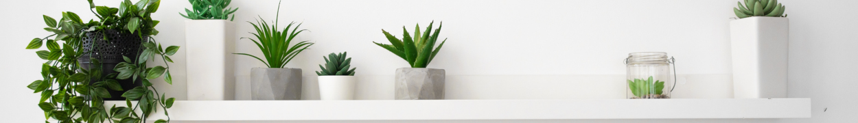 Same day flower delivery Toronto – Toronto flowers gifts