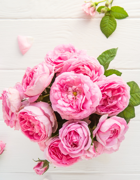 Same day flower delivery Toronto – Toronto flowers gifts