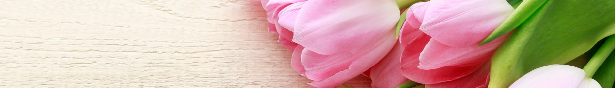 Same day flower delivery Toronto – Toronto flowers gifts