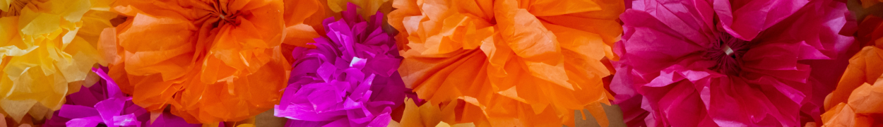 Same day flower delivery Toronto – Toronto flowers gifts