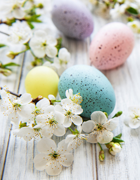 Same day flower delivery Toronto – Toronto flowers gifts