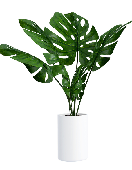 Same day flower delivery Toronto – Toronto flowers gifts