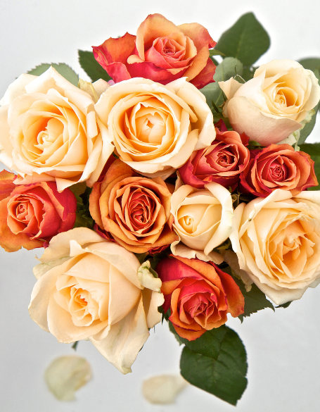 Same day flower delivery Toronto – Toronto flowers gifts