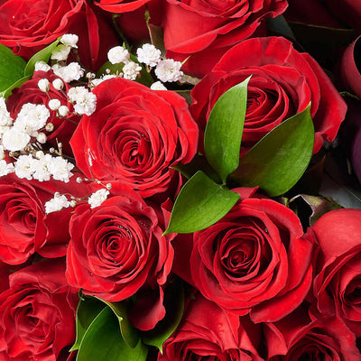 Valentine's Day 36 Red Roses Bouquet from Connecticut Blooms, give your sweetheart the gift they have been waiting for this Valentine’s Day.