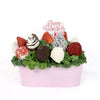 Valentine's Day Chocolate Dipped Strawberries Pink Tin, Connecticut Delivery
