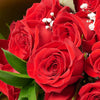Valentine's Day Dozen Red Roses Bouquet, roses, bouquet, Connecticut Flowers Delivery, Valentine's Day gifts