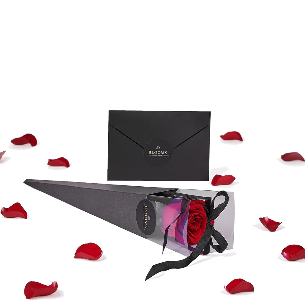 Valentine's Day Rose Protective Box – how the gift is presented