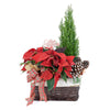 Christmas, Holiday, Mix Floral Arrangement, Floral Arrangement, Holiday Arrangement delivery, Connecticut Delivery.