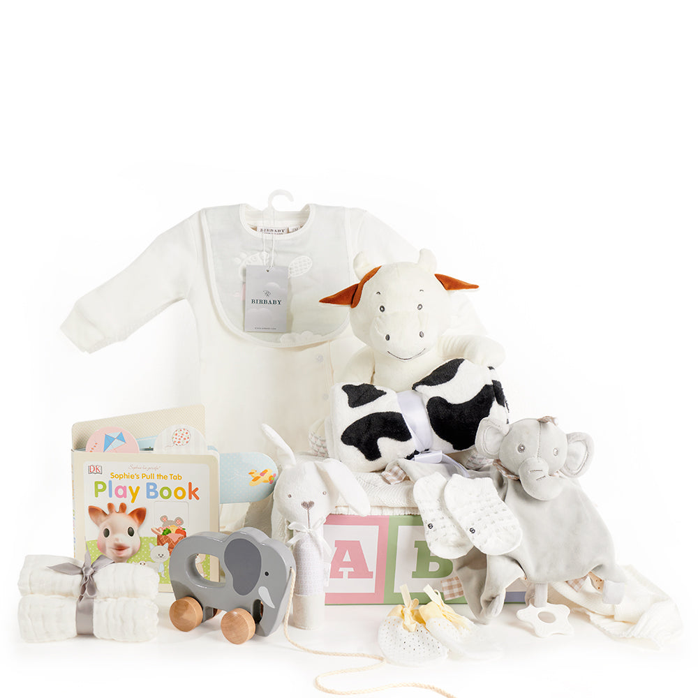 Baby Gift Basket with Care Items – how the gift is presented