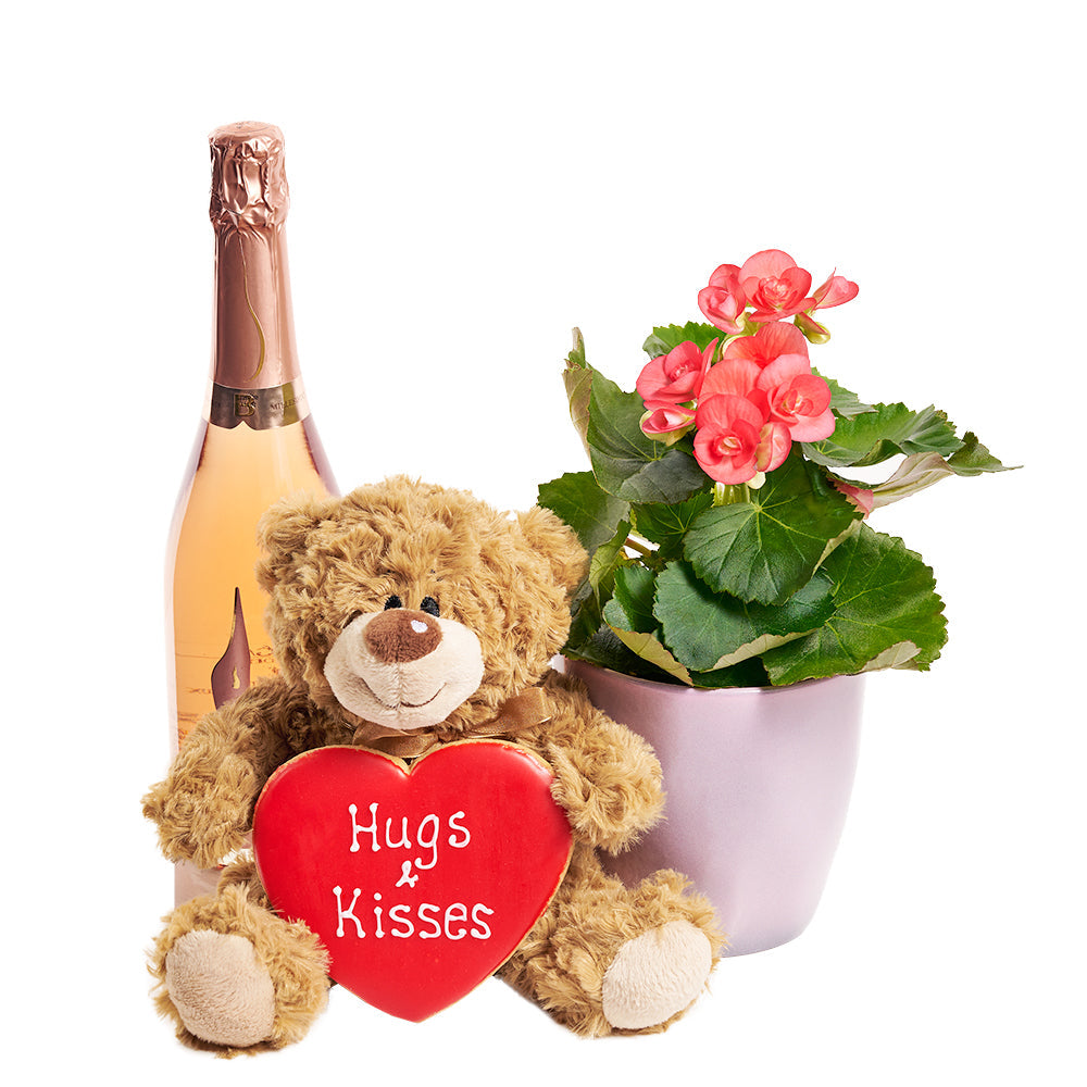 Premium Sparkling Wine and Begonia Potted Plant Gift for Mom – how the gift is presented