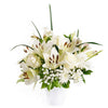 Alabaster Mixed Lily Arrangement - Flower Gift - Connecticut Delivery