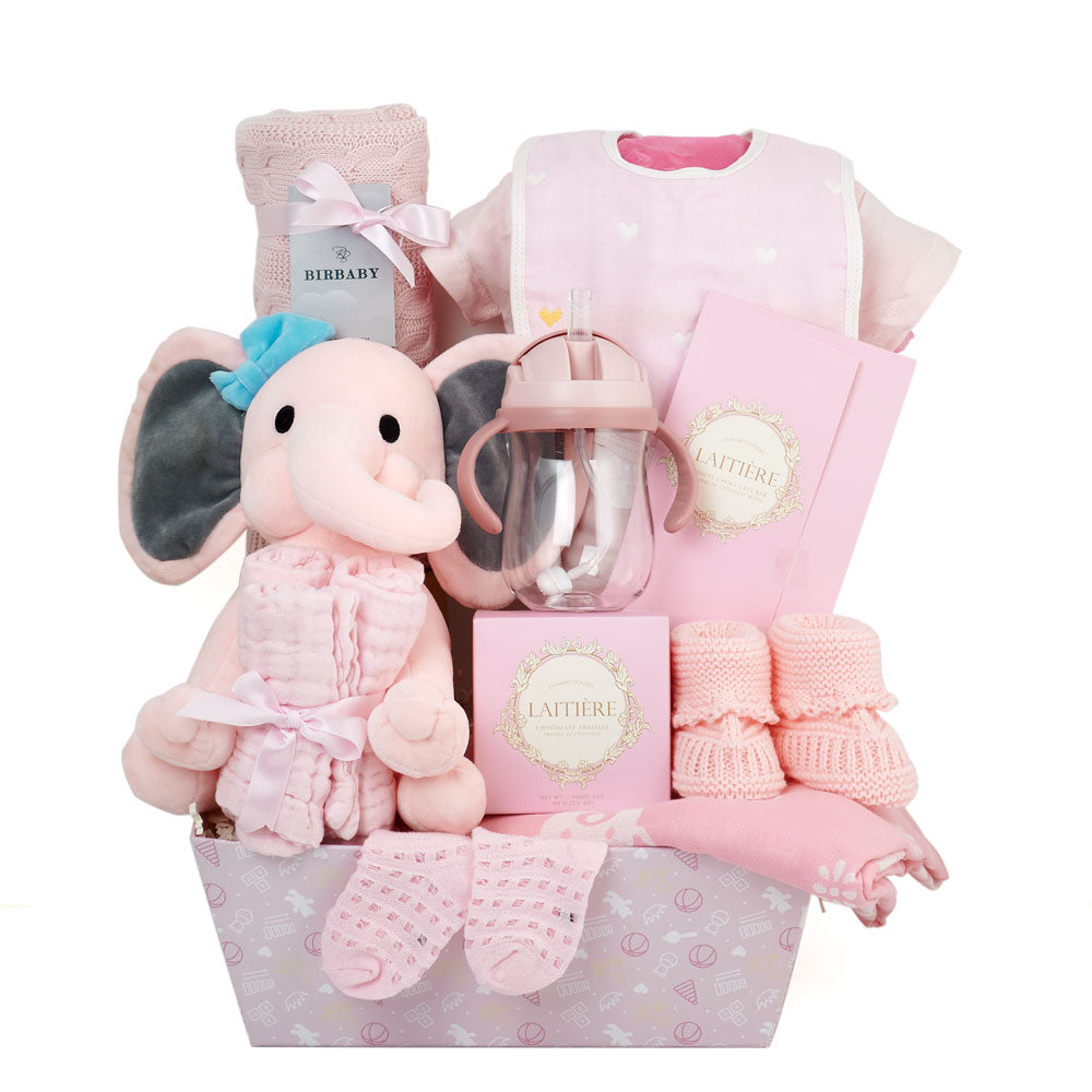 Baby Girl Blanket and Plush Basket – how the gift is presented