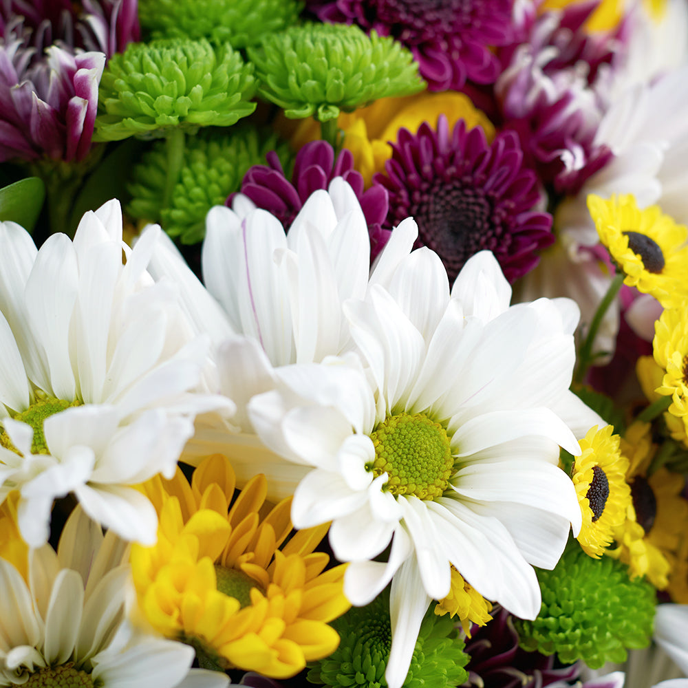 Be A Wildflower Daisy Bouquet from Connecticut Blooms - Mixed Floral Gift - Connecticut Delivery.