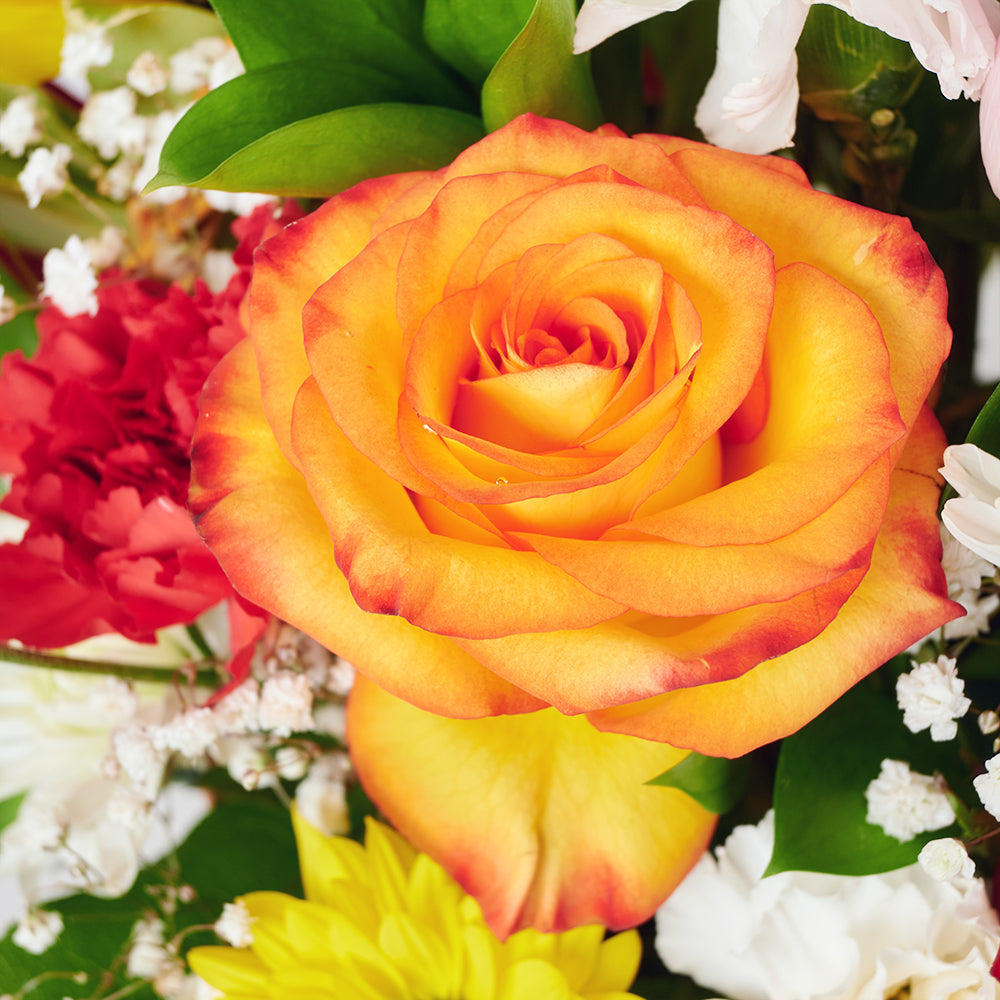 Bountiful Mixed Rose Arrangement – Floral Gifts – Connecticut delivery 