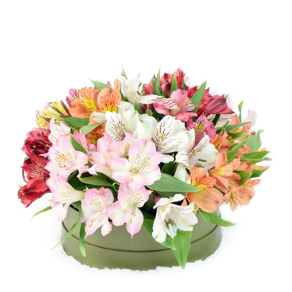 Brilliant Lily Hat Box - Connecticut Delivery