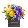 Bursting Beauty Iris Box Arrangement - Flower Gift - Connecticut Delivery