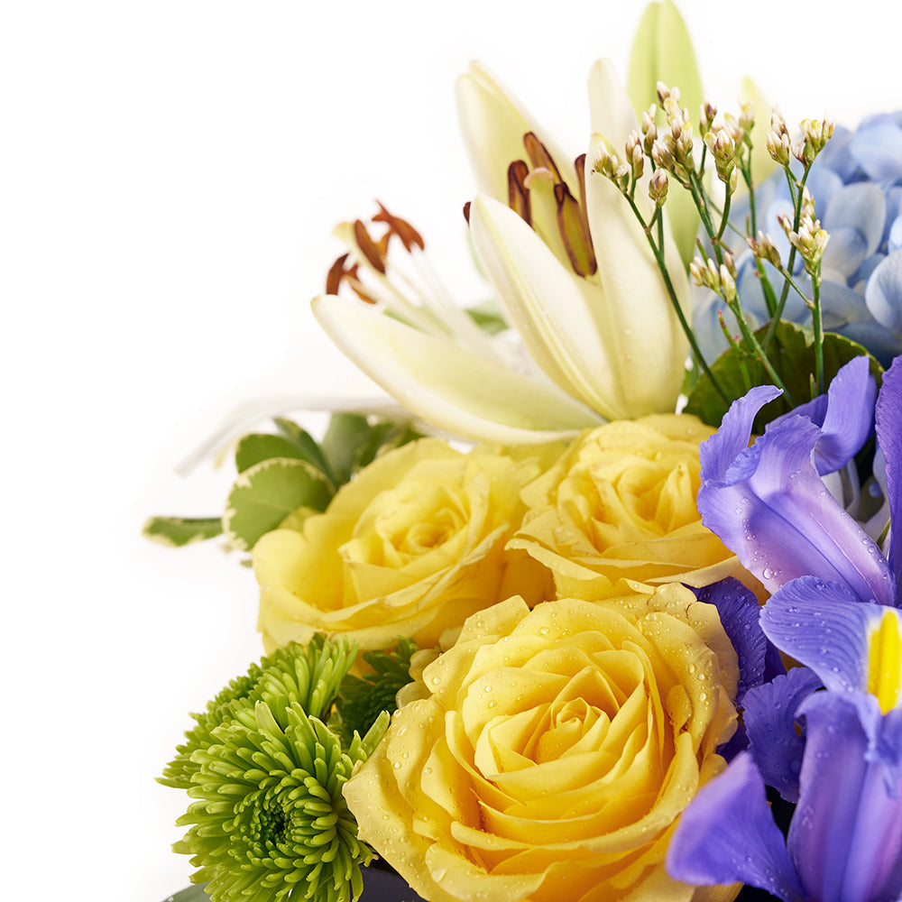 Bursting Beauty Iris Box Arrangement - Flower Gift - Connecticut Delivery