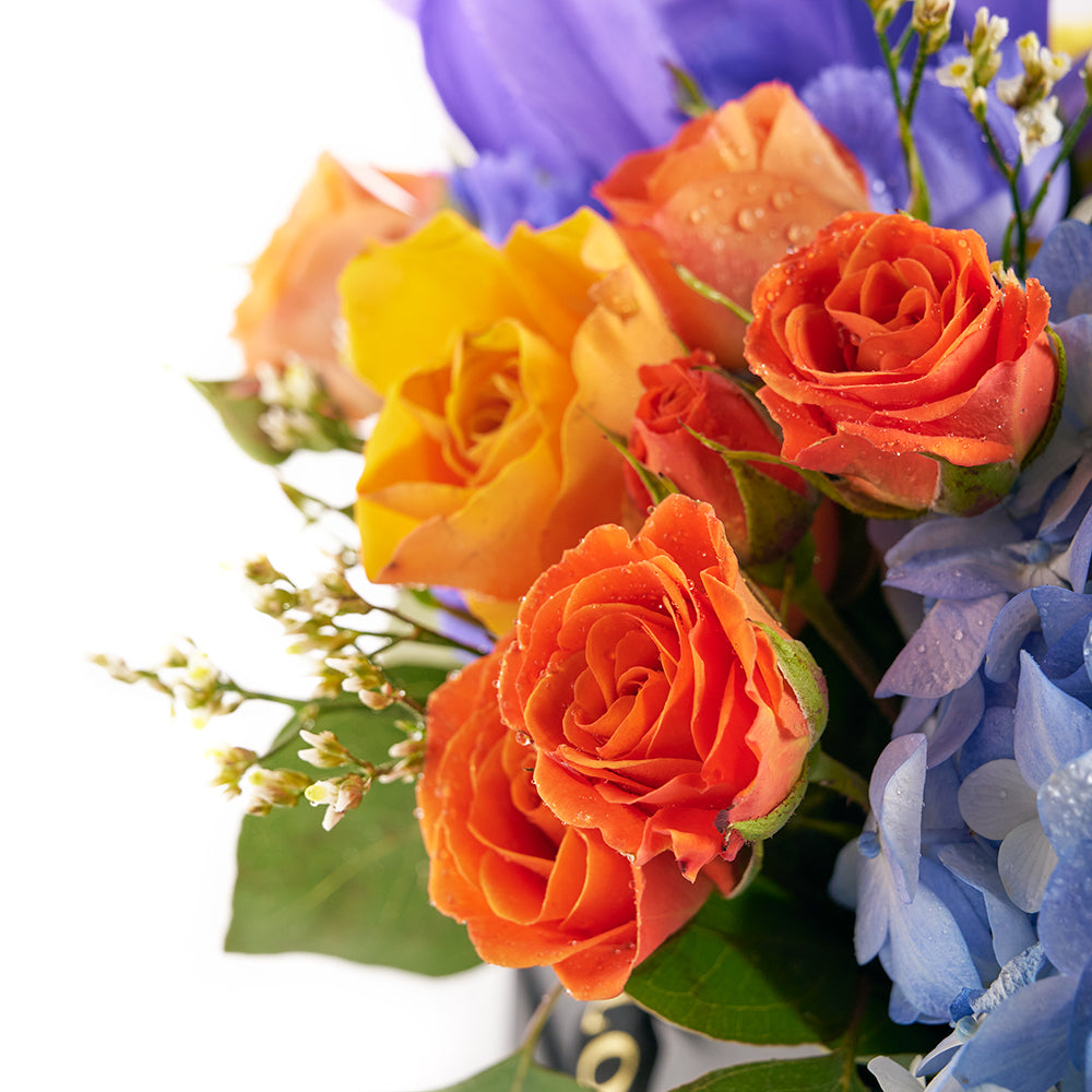 Bursting Beauty Iris Box Arrangement - Flower Gift - Connecticut Delivery