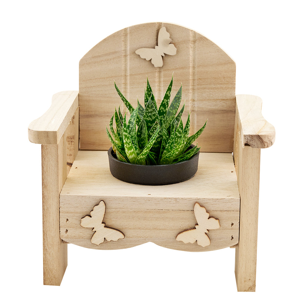 Butterfly Planter Chair Arrangement - Connecticut Delivery
