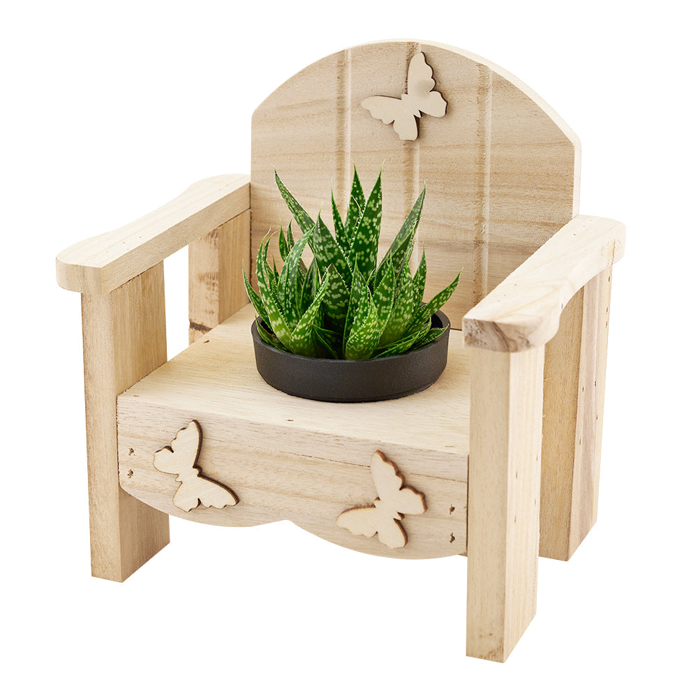 Butterfly Planter Chair Arrangement - Connecticut Delivery