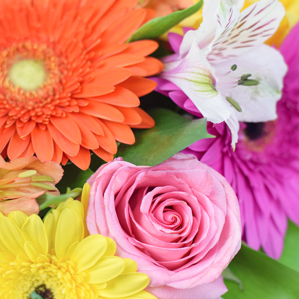 Celebrating Her Flower Gift – a gorgeous gift for any occasion