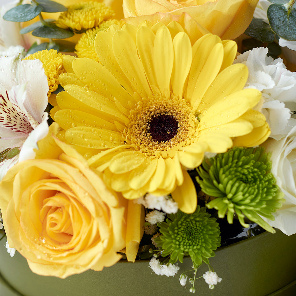 Mixed Roses, Gerberas and Daisies in Green Hat Box with Sparkling Wine Gift – how the gift is presented