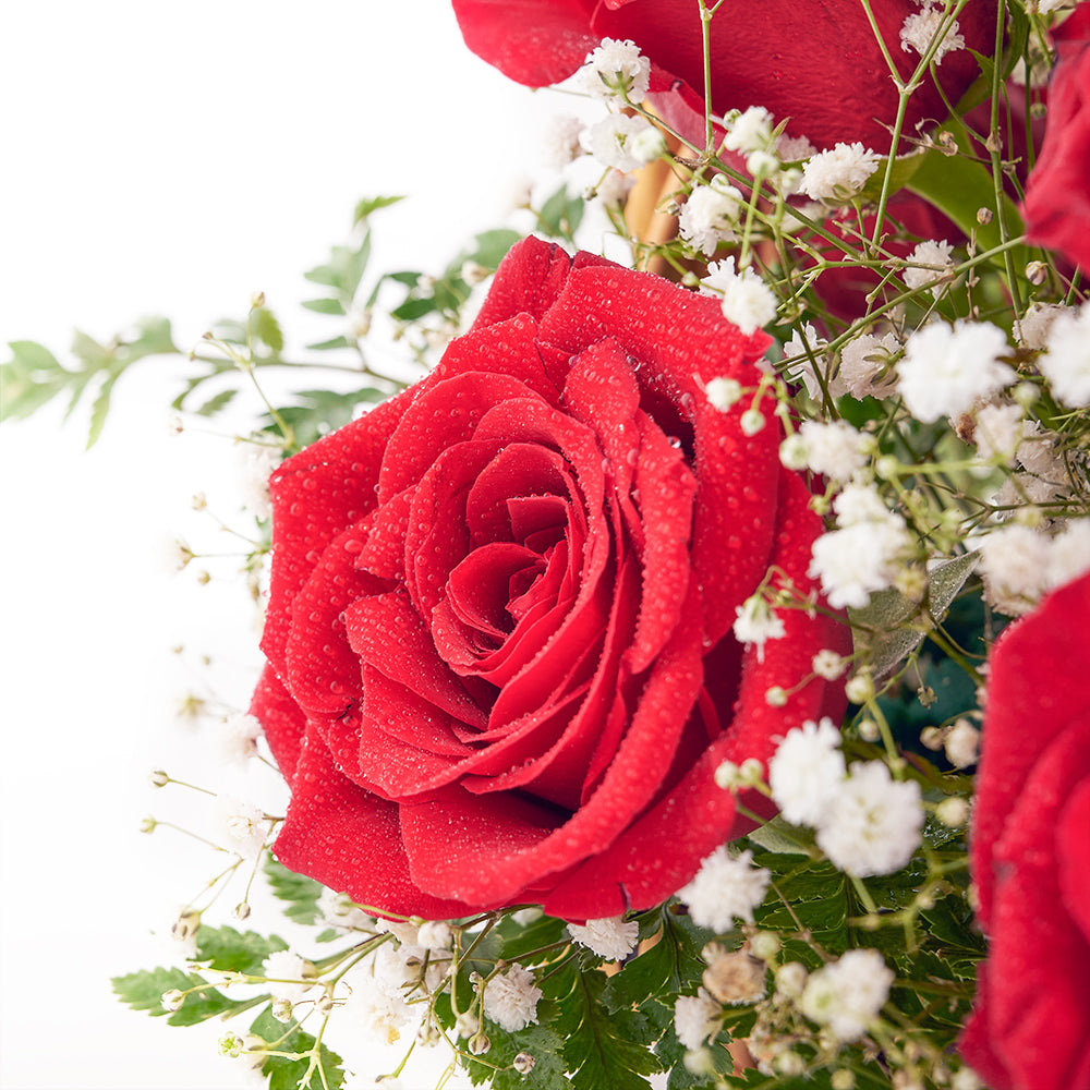 Classic Comfort Rose Gift from Connecticut Blooms - Flower Gift - Connecticut Delivery.