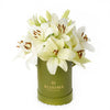 Cornsilk Surprise Lilies Box Arrangement from Connecticut Blooms - Flower Gift - Connecticut Delivery.