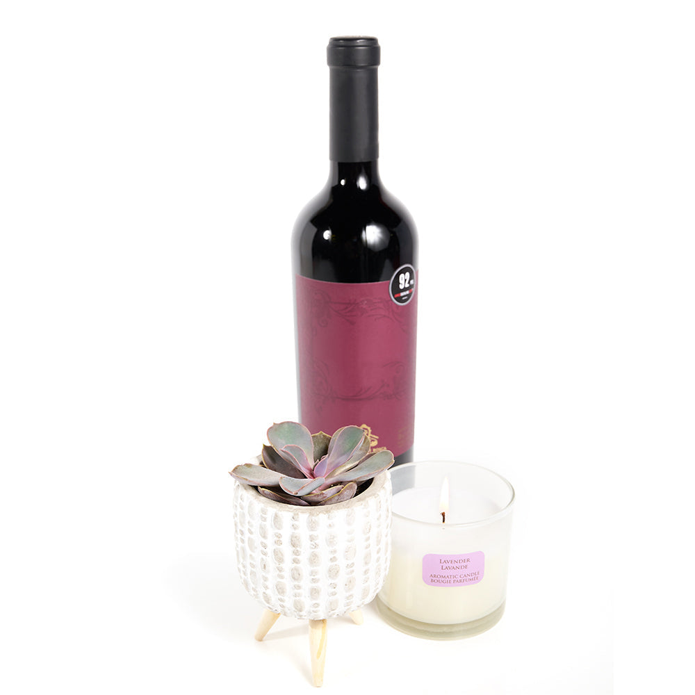 "You're Special" Plant &amp; Wine Gift - Wine Gift Set - Connecticut Delivery