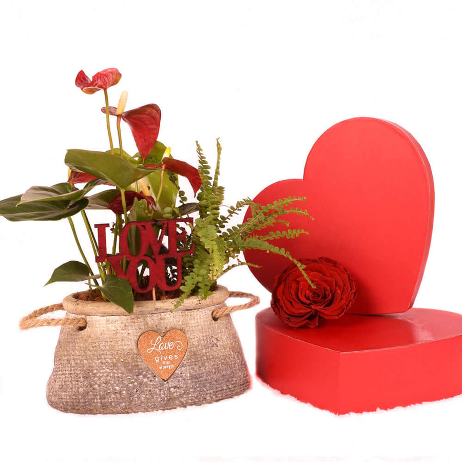 Valentine's Day Romantic Anthurium, Connecticut Delivery