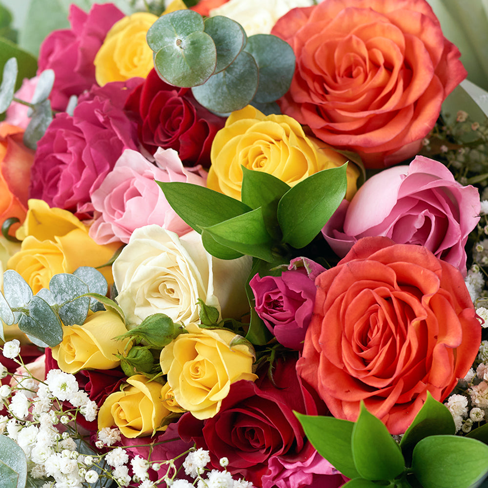 Daydream Fantasy Rose Bouquet - Connecticut Delivery