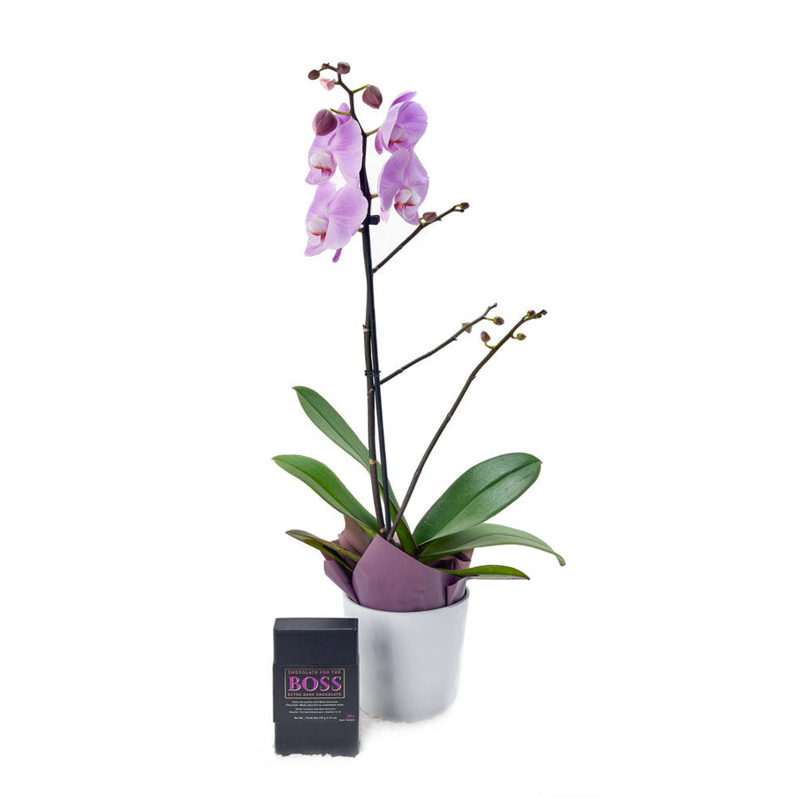 Floral Treasures Flowers Chocolate Gift - Orchid Gift Set - Connecticut Delivery