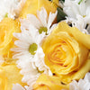 Floral Fantasy Daisy Bouquet from Connecticut Blooms - Mixed Flower Gift - Connecticut Delivery.