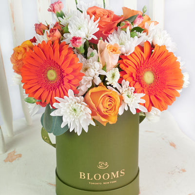 Forever Young Daisy Box from Connecticut Blooms - Mixed Floral Gift - Connecticut Delivery.