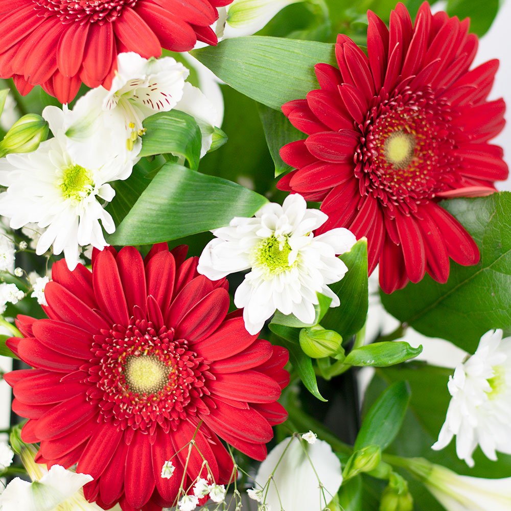 Stylish Designer Flower Box with Roses and Gerberas – how the gift is presented