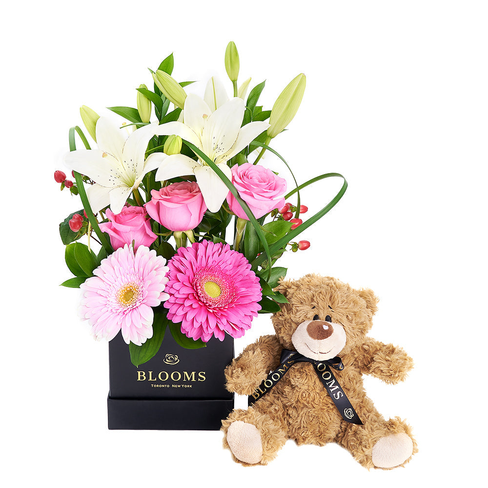 Gerbera Floral Arrangement &amp; Bear Gift Set – Floral Gifts – Connecticut delivery