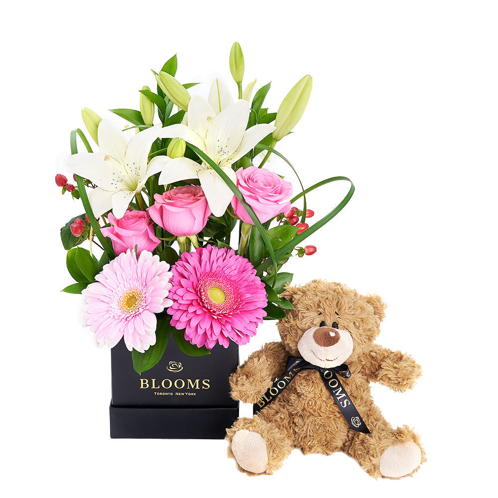 Gerbera Floral Arrangement &amp; Bear Gift Set "“ Floral Gifts "“ Connecticut delivery