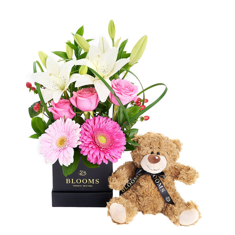 Gerbera Floral Arrangement & Bear Gift Set – Floral Gifts – Connecticut delivery
