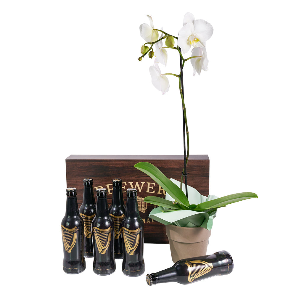 Guinness Flowers &amp; Beer Gift - Beer Gift Basket - Connecticut Delivery