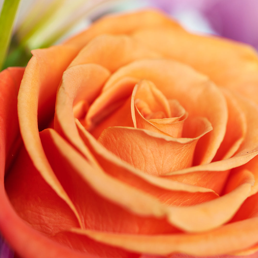 Heavenly Scents Flowers & Candle Gift - Mixed Flower and Candle Set - Connecticut Delivery