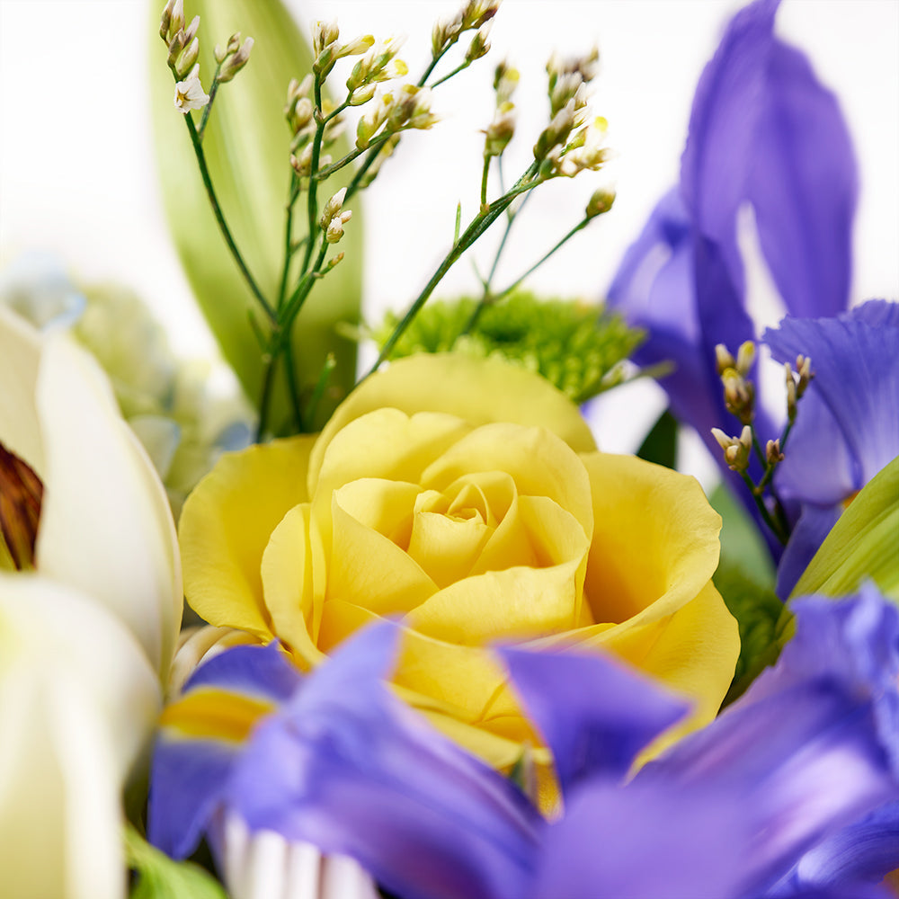 Irises In Paradise Mixed Arrangement - Flower Gift - Connecticut Delivery