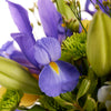 Irises In Paradise Mixed Arrangement - Flower Gift - Connecticut Delivery