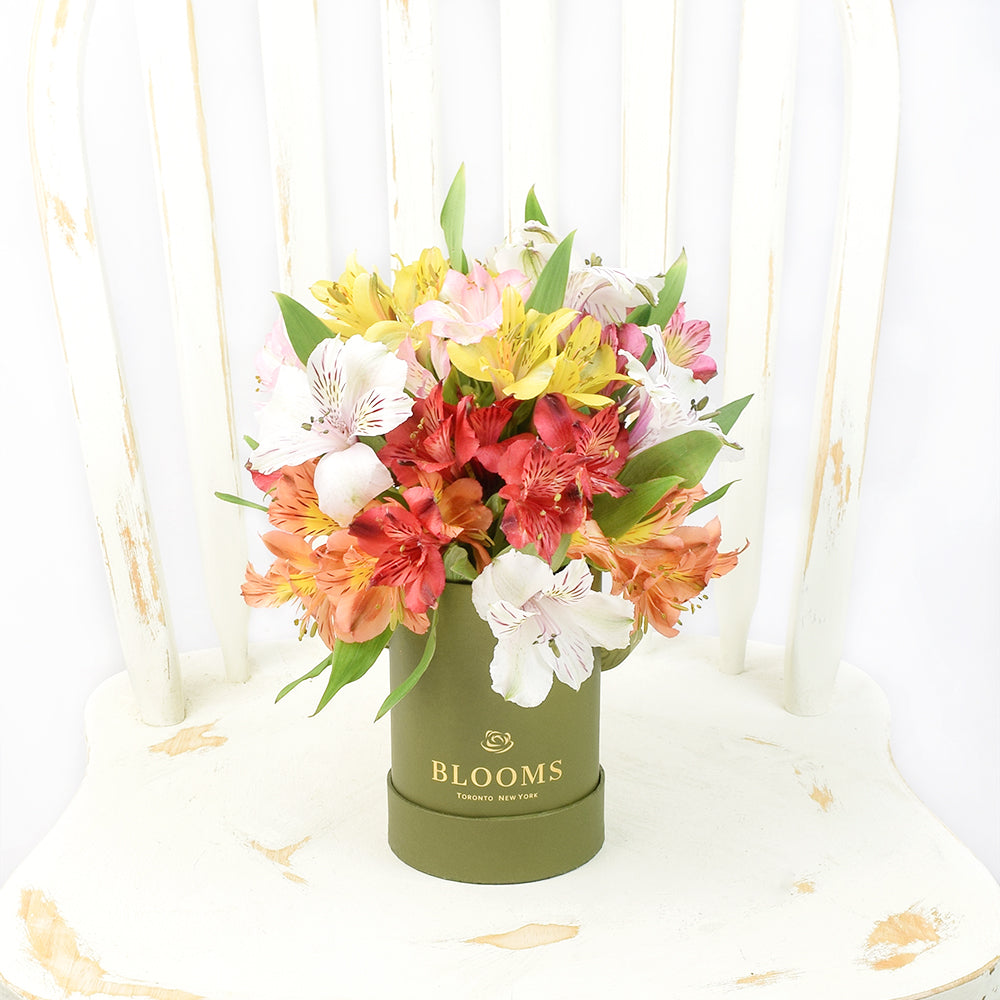 Fresh Lily Gifts | Livewire Lilies Flower Gift. Connecticut Delivery