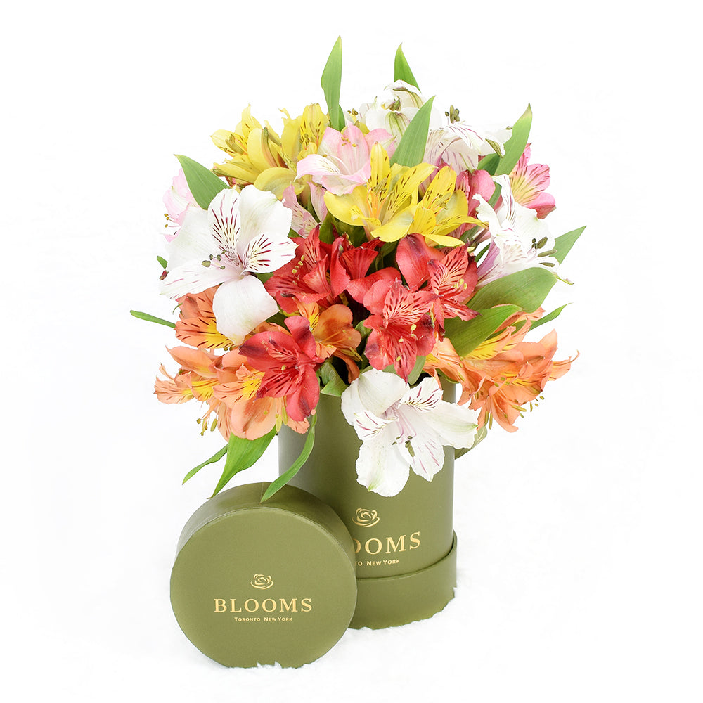 Our Livewire Lilies Flower Gift &amp; Chocolates set is crafted to deliver heartfelt wishes to your loved ones, no matter the occasion.