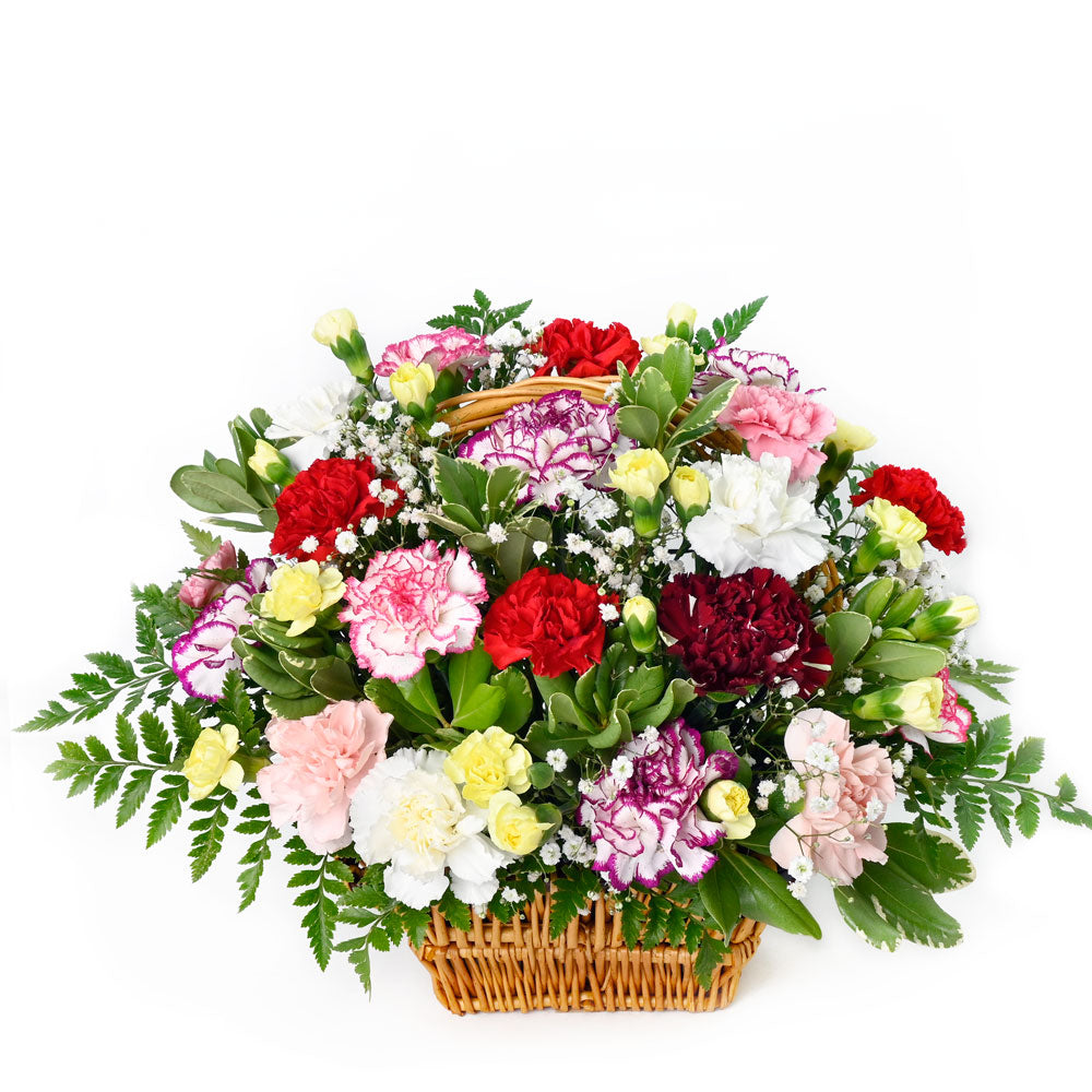 Vibrant Multi-Coloured Carnations Floral Arrangement in Wicker Basket – how the gift is presented